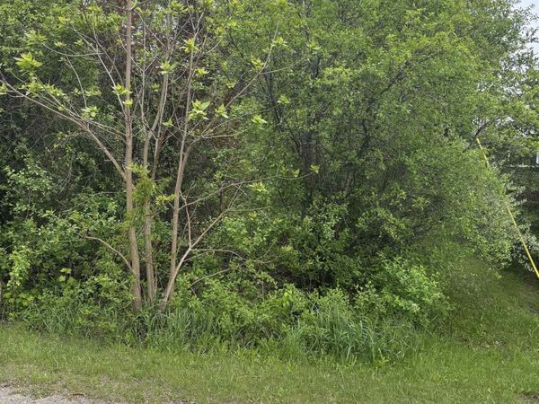 49 Leona Drive, Mt Pleasant, MI 48858