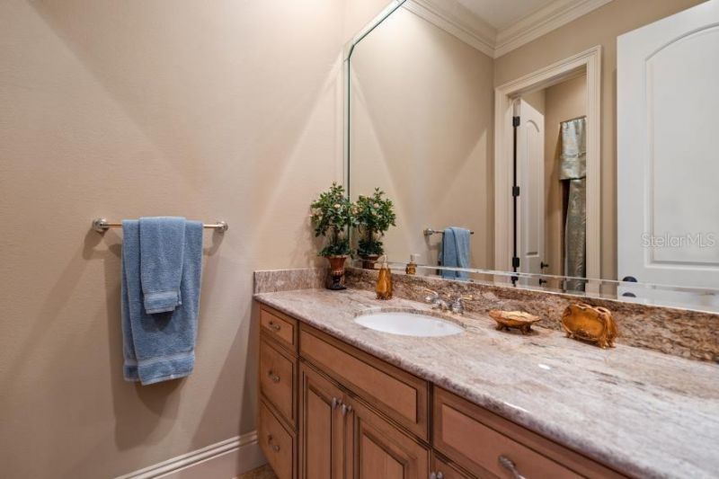 841 Ponce De Leon Drive, Saint Petersburg, FL 33715 Photo