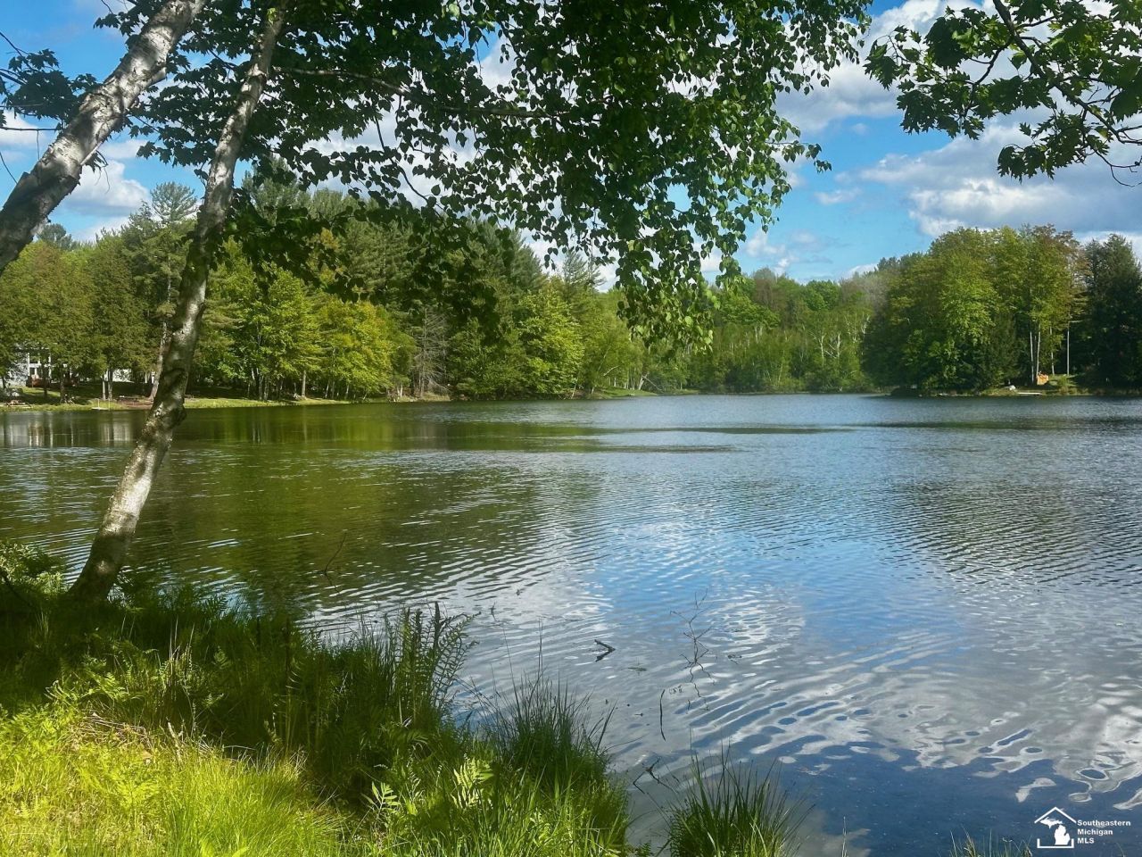 9846 Miramichi Drive, Evart, MI 49631 Main Photo