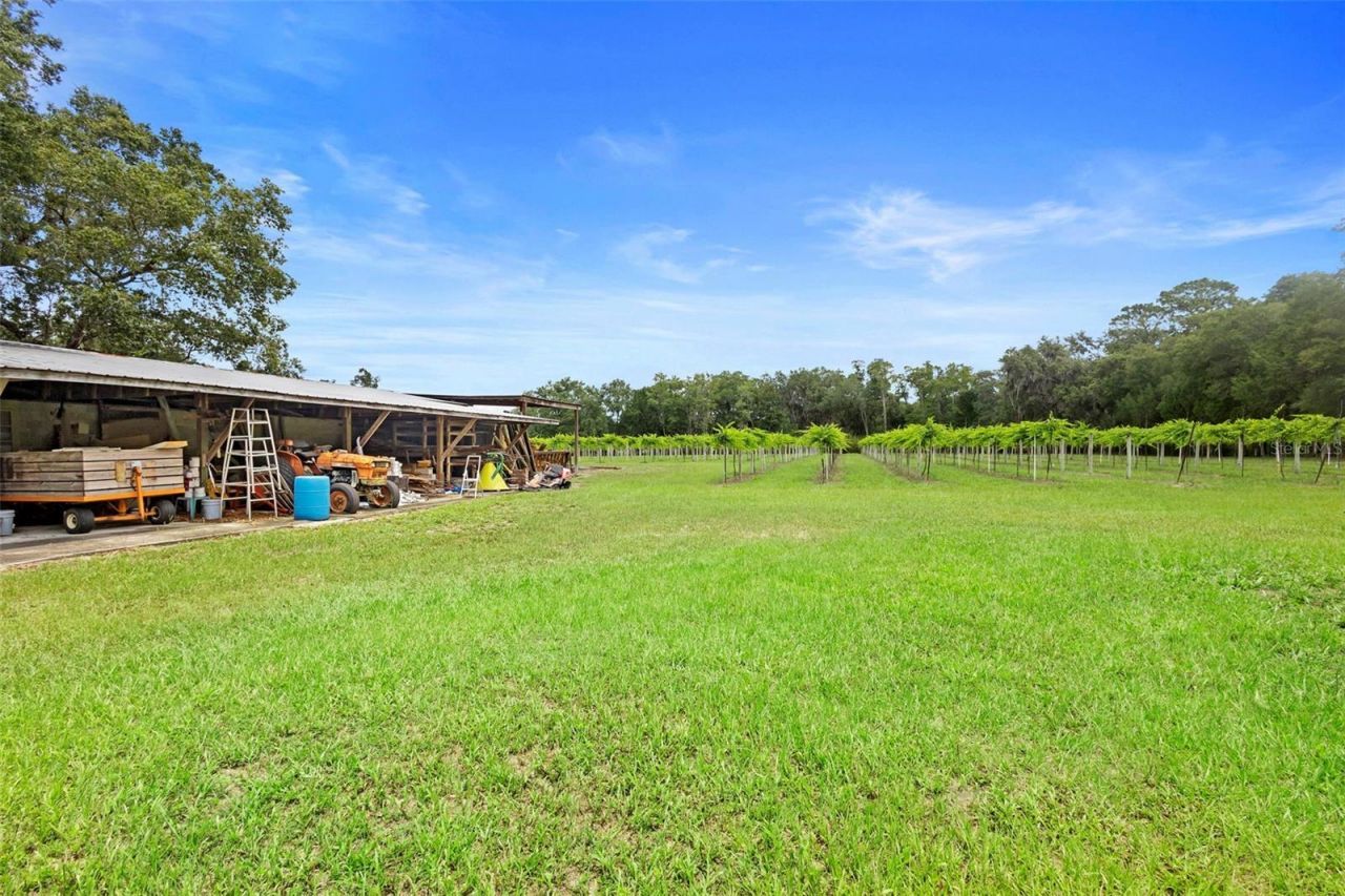 1056 Reynolds Road, De Leon Springs, FL 32130 Photo