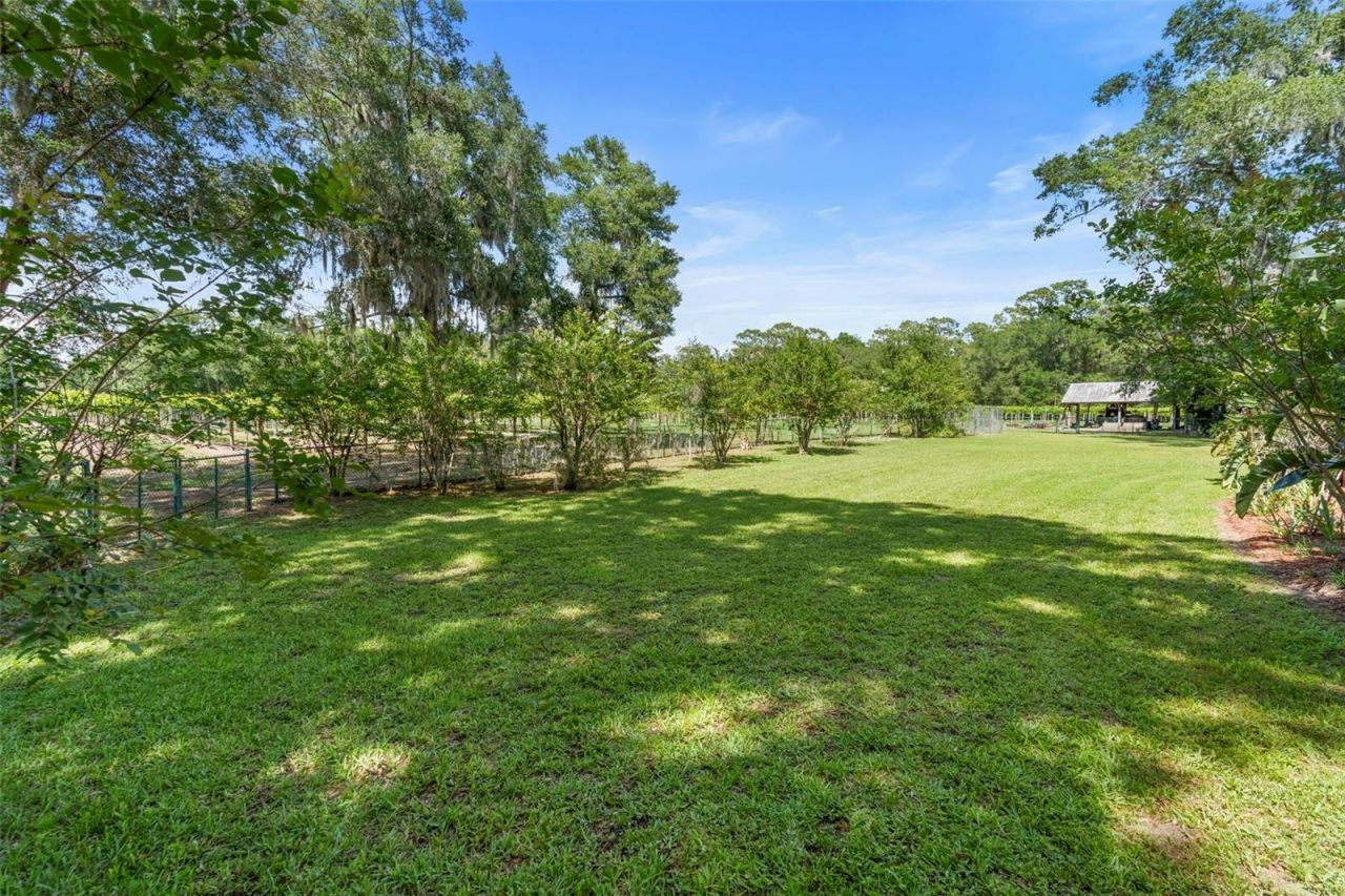 1056 Reynolds Road, De Leon Springs, FL 32130 Photo