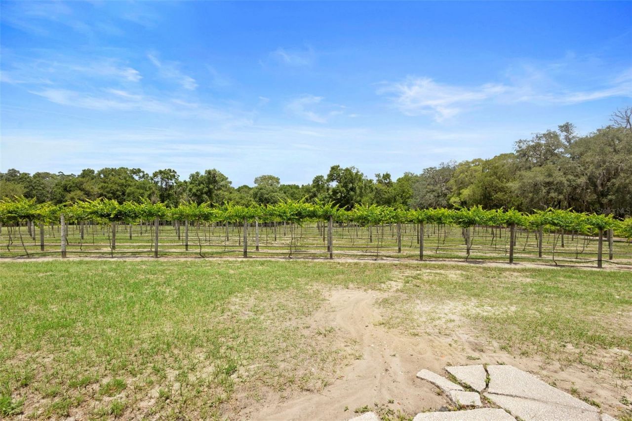 1056 Reynolds Road, De Leon Springs, FL 32130 Photo