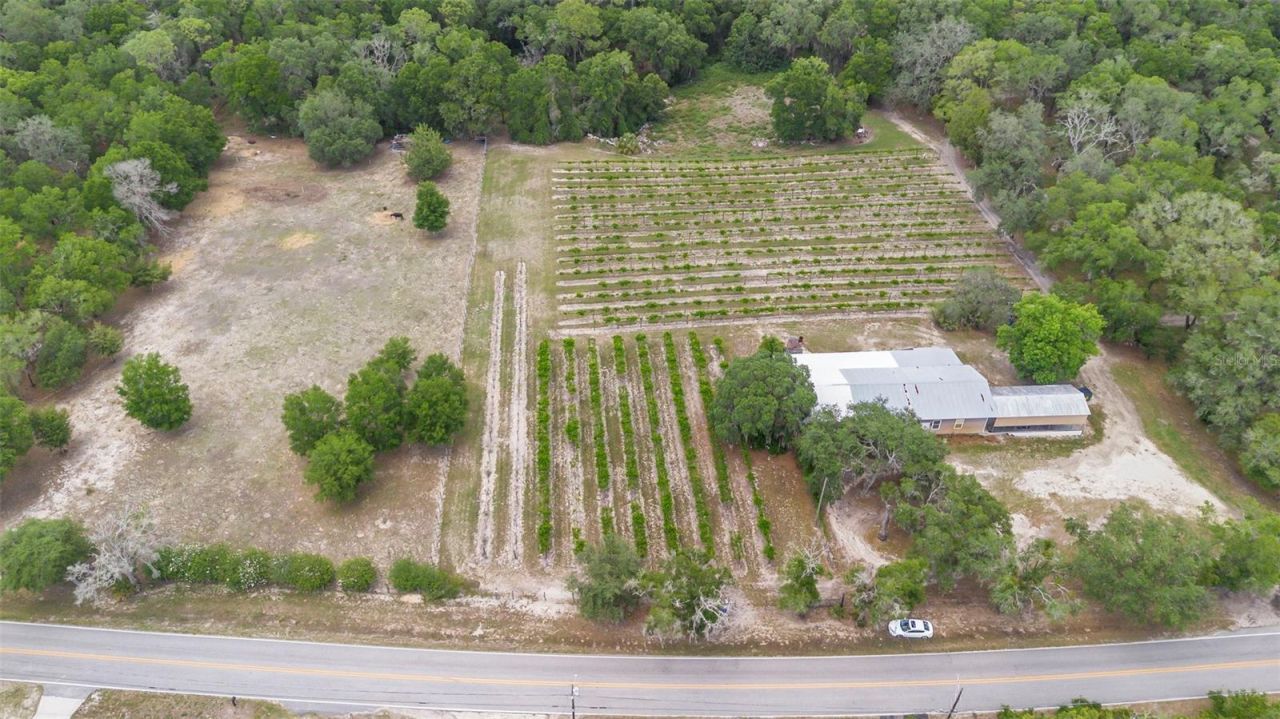 1056 Reynolds Road, De Leon Springs, FL 32130 Photo