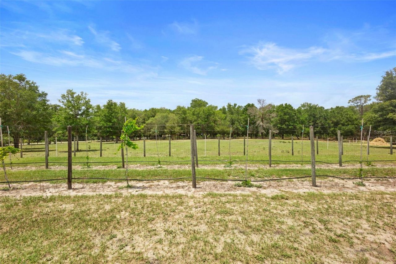 1056 Reynolds Road, De Leon Springs, FL 32130 Photo