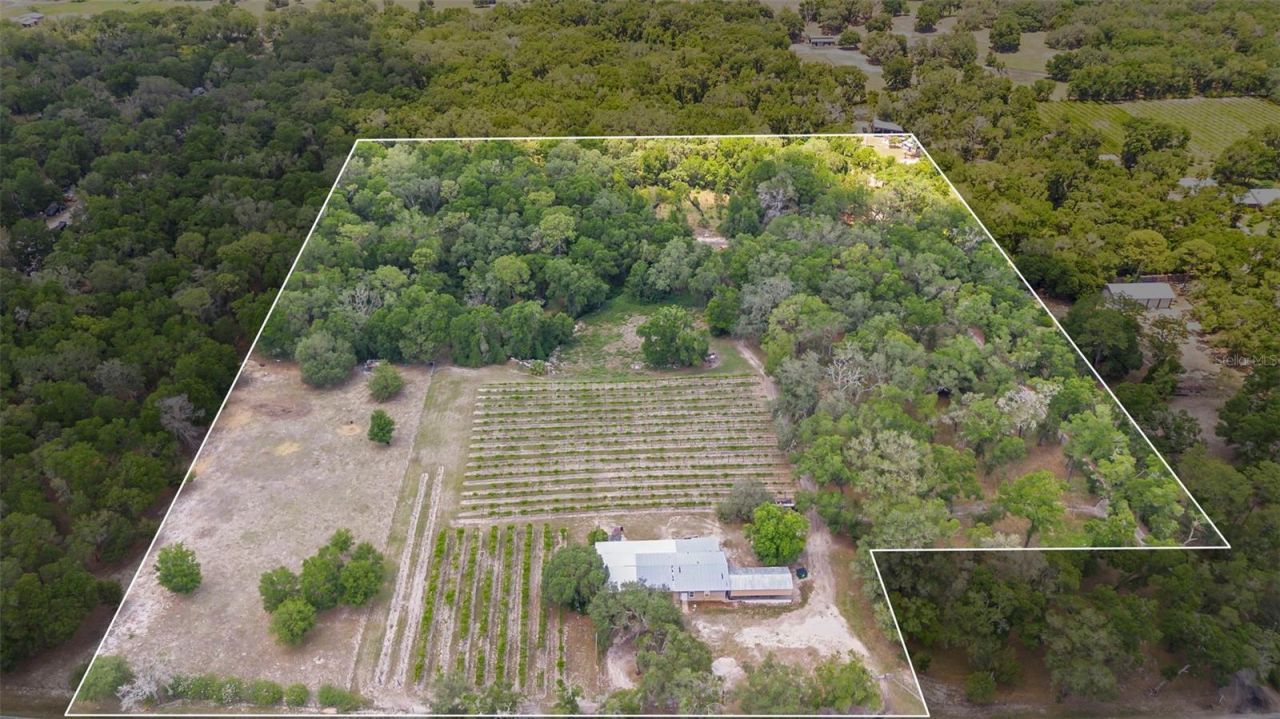 1056 Reynolds Road, De Leon Springs, FL 32130 Photo