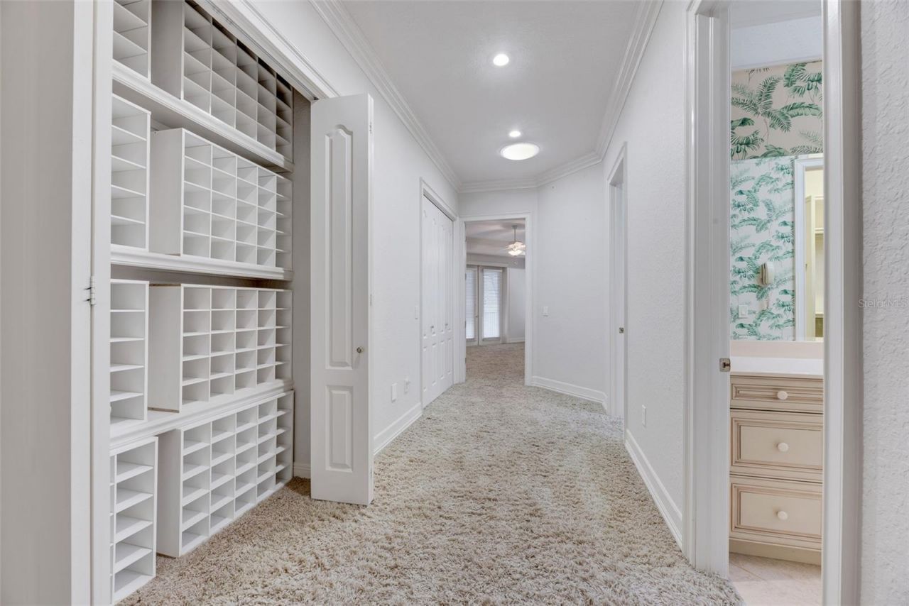 4641 John Moore Road, Brandon, FL 33511 Photo