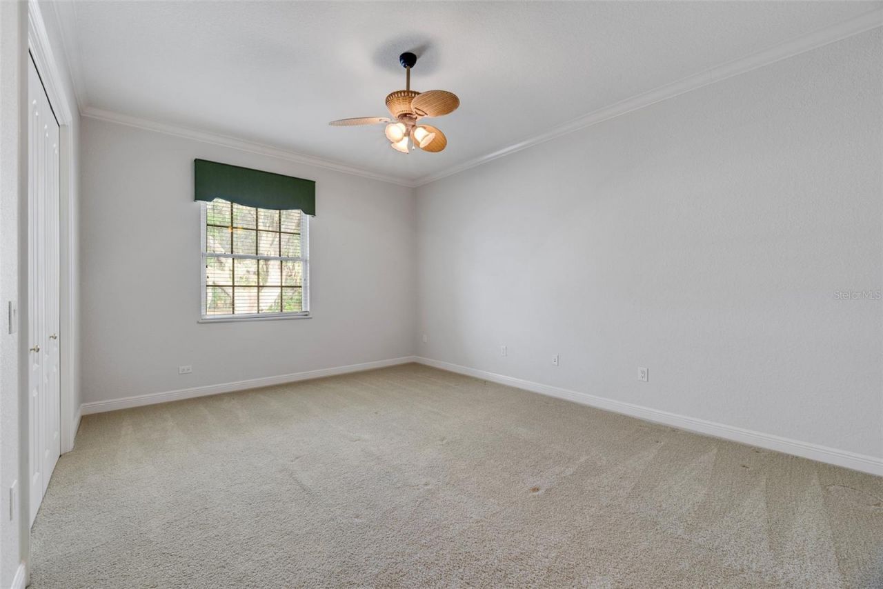 4641 John Moore Road, Brandon, FL 33511 Photo