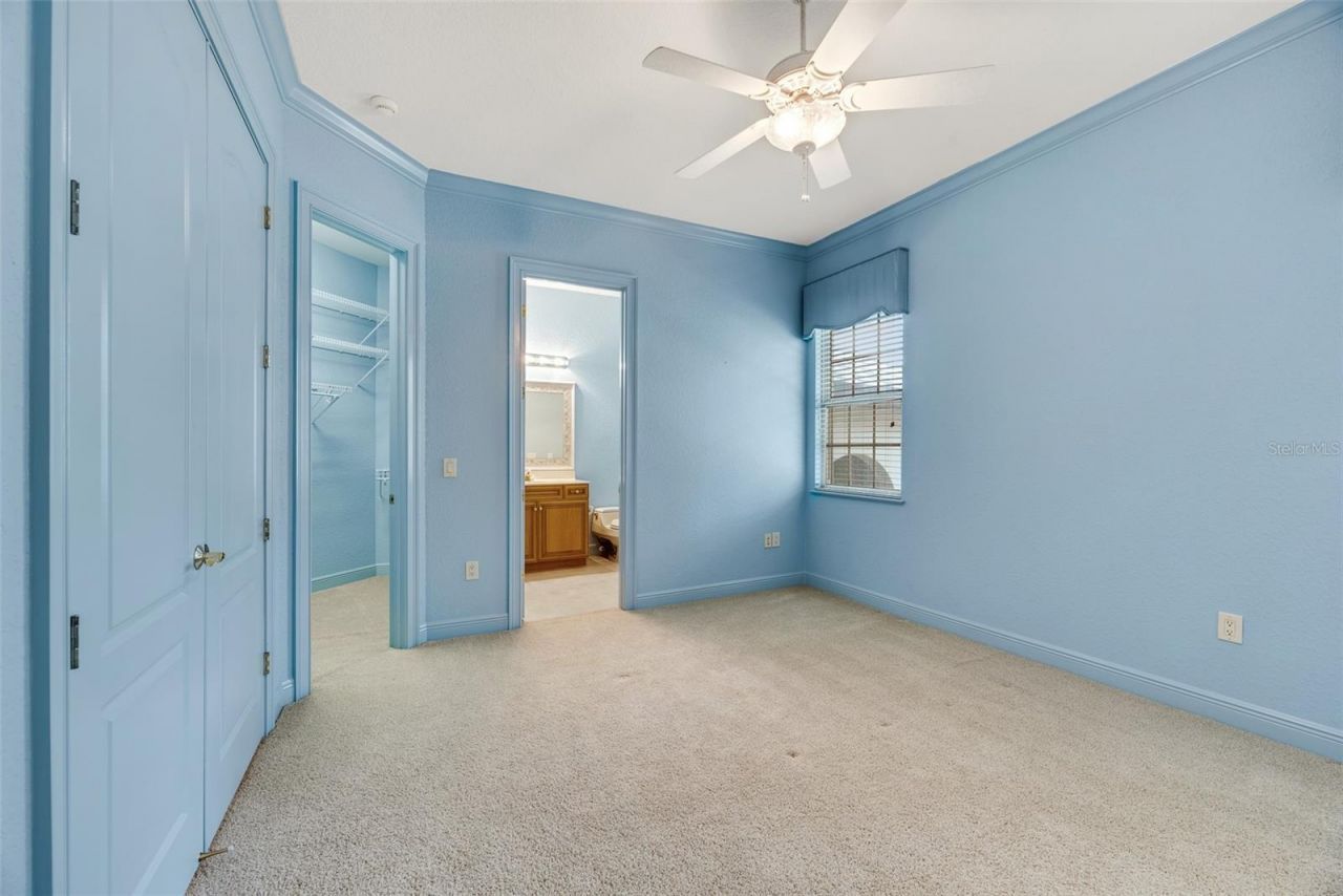 4641 John Moore Road, Brandon, FL 33511 Photo