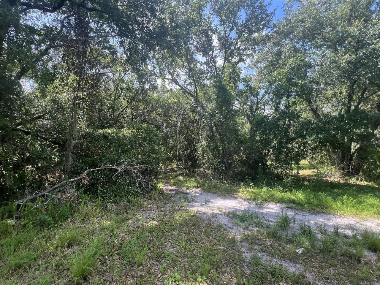 1308 E Alsobrook Street, Plant City, FL 33563 Photo