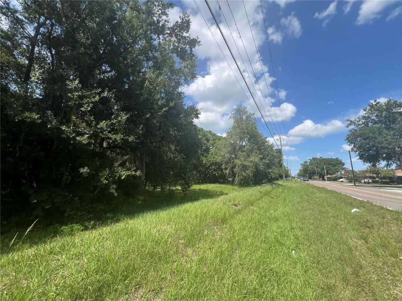 1308 E Alsobrook Street, Plant City, FL 33563 Photo