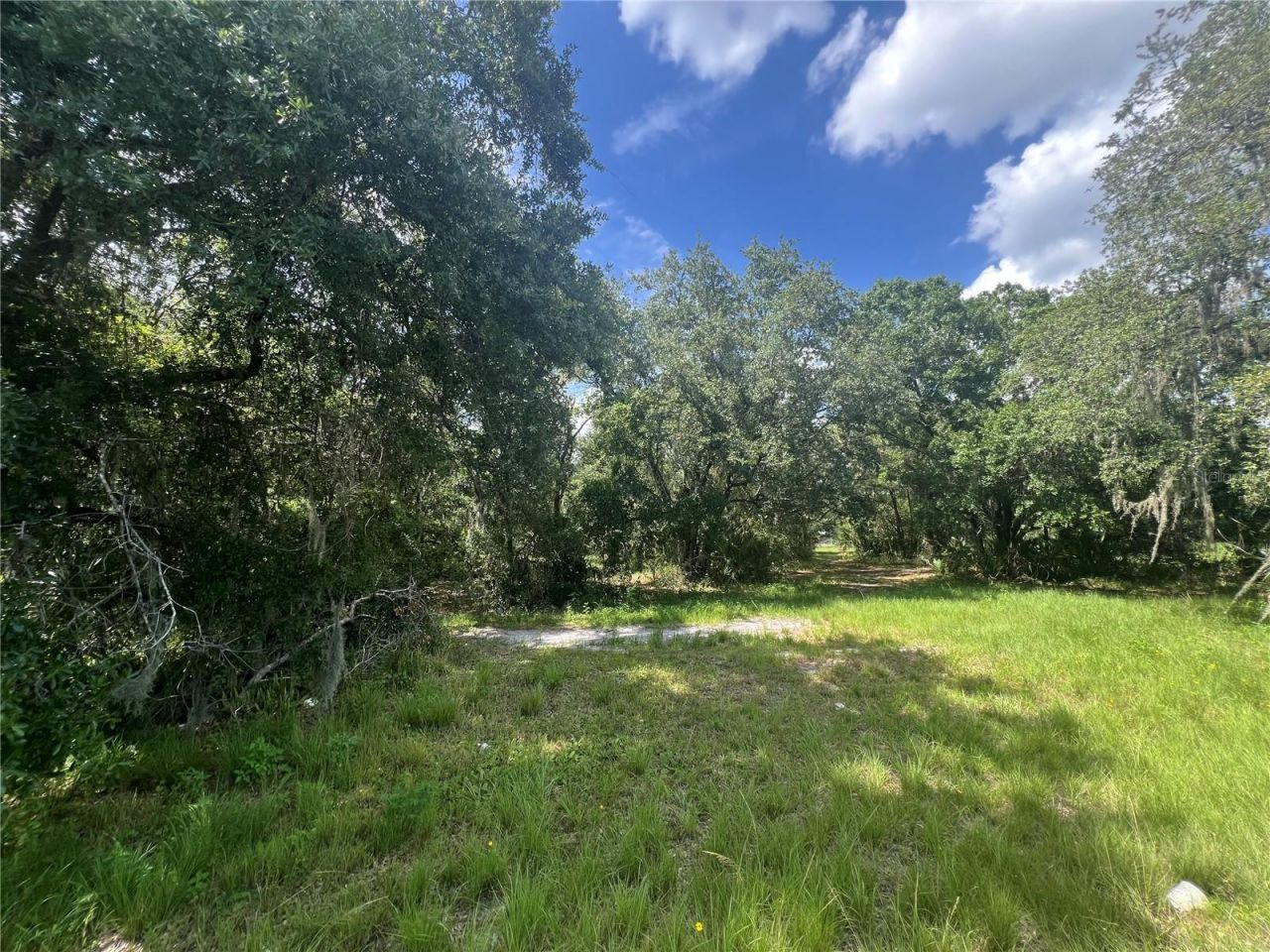 1308 E Alsobrook Street, Plant City, FL 33563 Photo