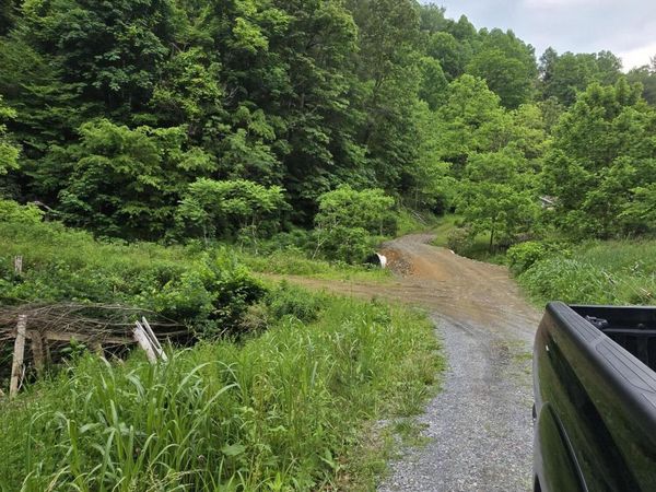 719 Simerly Creek, Hampton, TN 37658