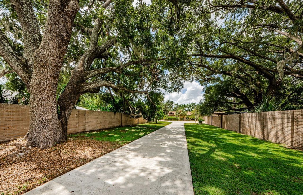 309 Hidden Lake Drive, Brandon, FL 33511 Photo