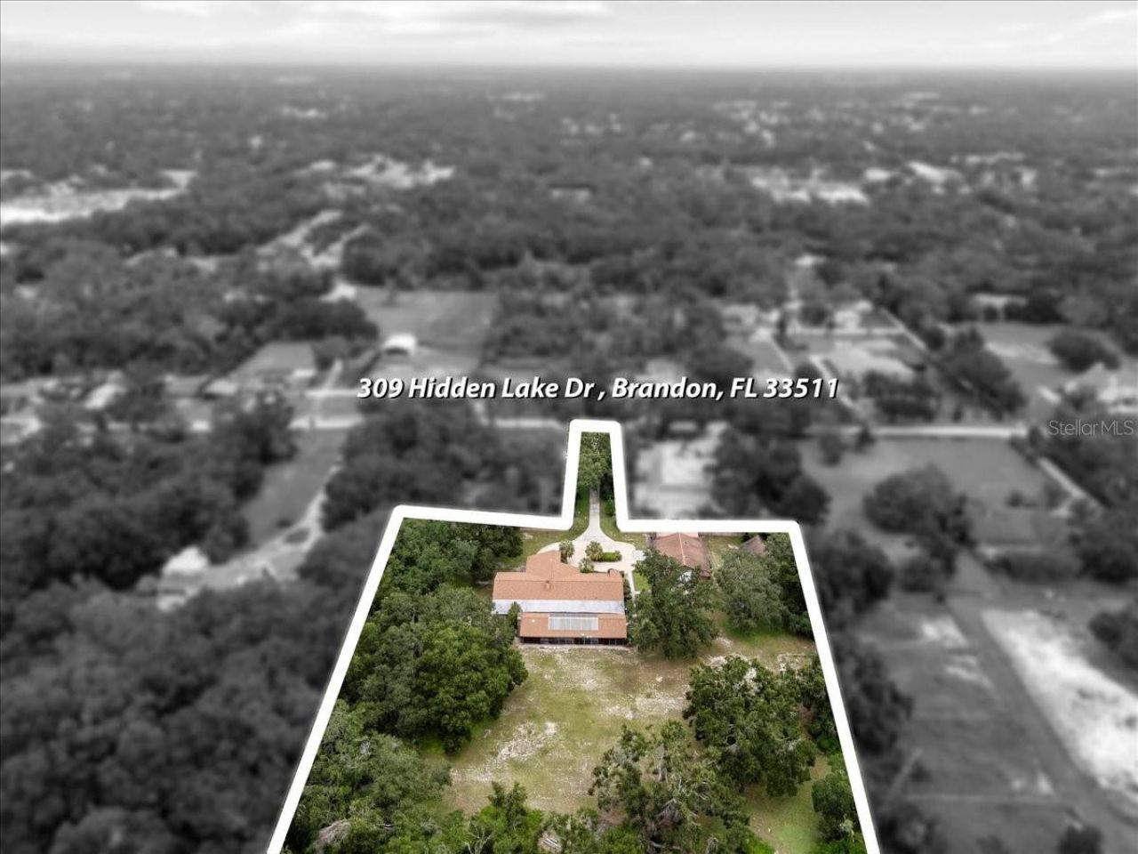 309 Hidden Lake Drive, Brandon, FL 33511 Photo