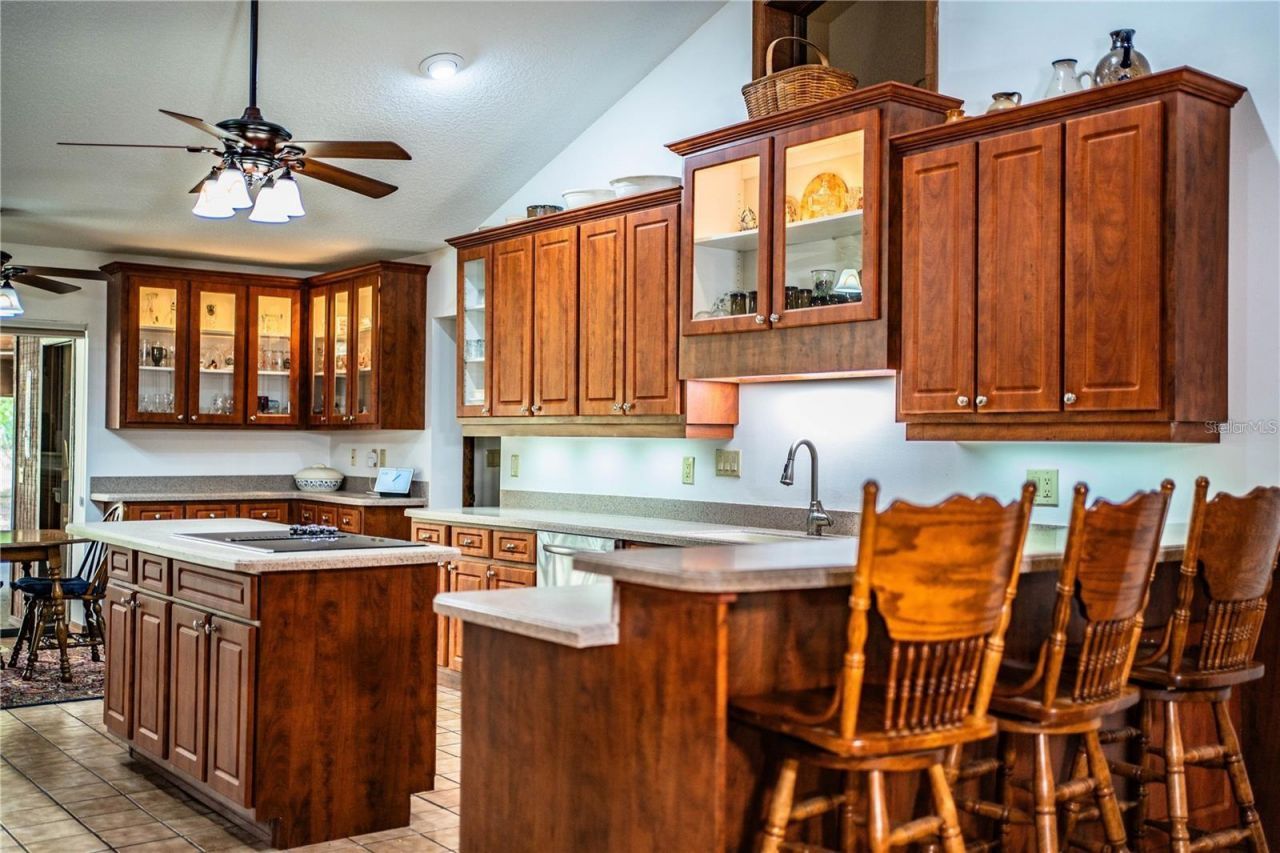 309 Hidden Lake Drive, Brandon, FL 33511 Photo