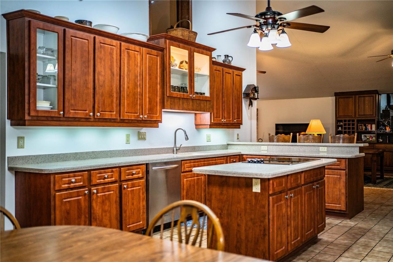 309 Hidden Lake Drive, Brandon, FL 33511 Photo