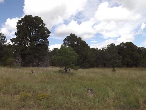 36 PLANT Road, Edgewood, NM 87015