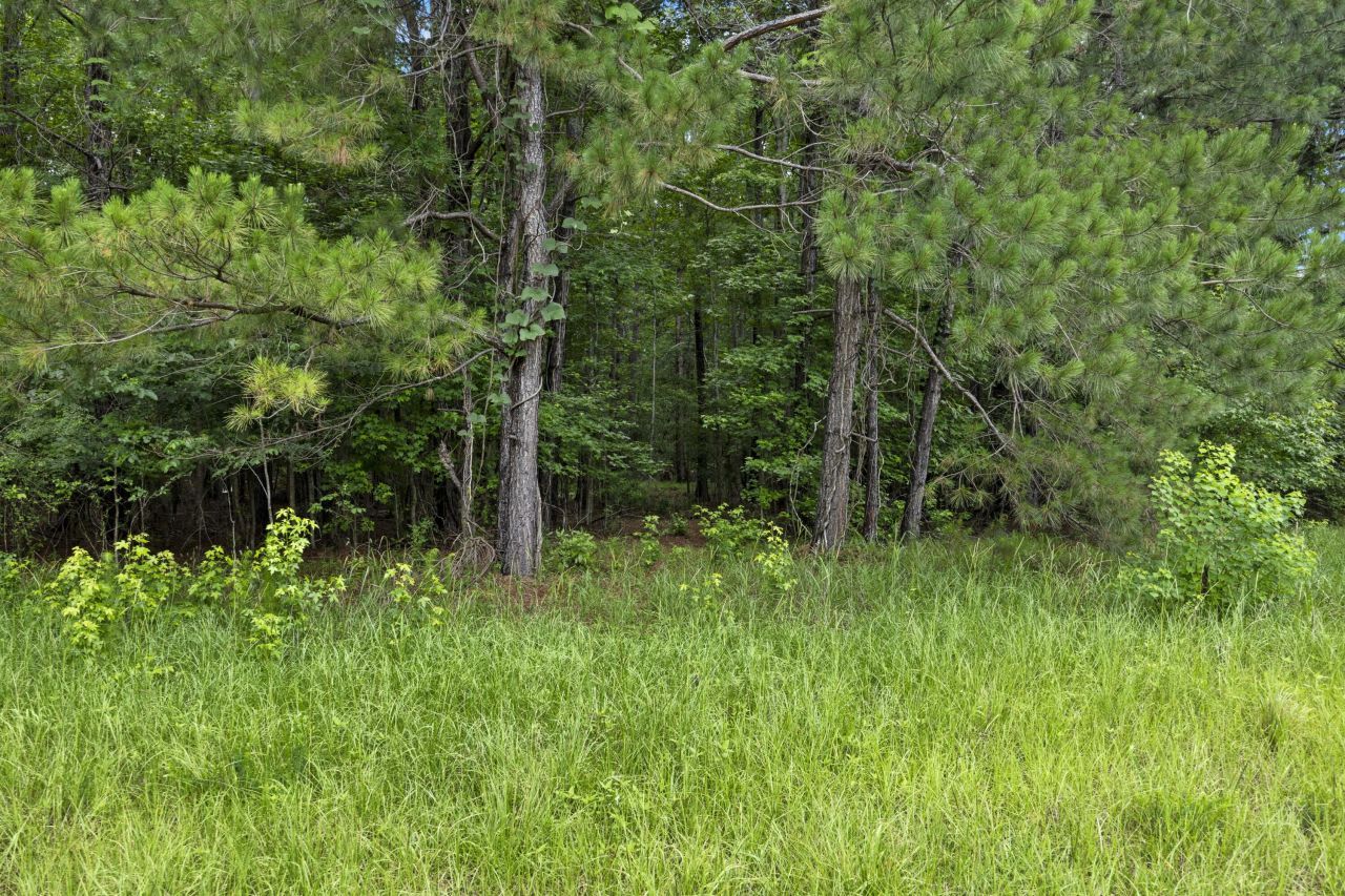 406 Myers Road Photo 7