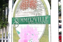 217 Seele Street photo 4