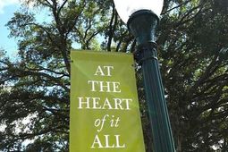 217 Seele Street photo 4