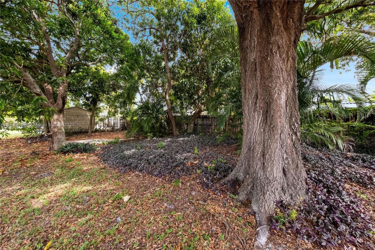 2431 Rodman St, Hollywood, FL 33020 Photo