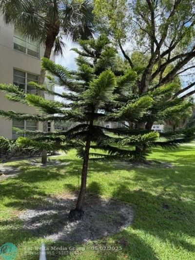1811 Sabal Palm, Unit 405, Davie, FL 33324 Photo