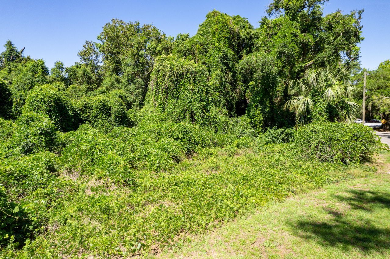 0 Moore Street Photo 6