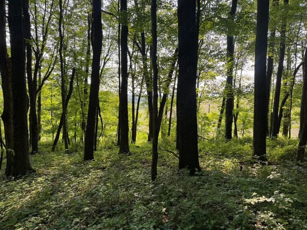 0 King Road, Howard, OH 43028