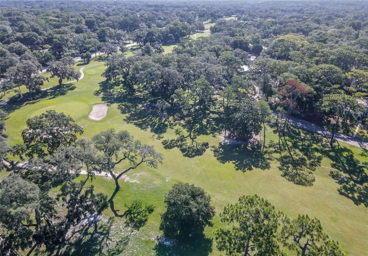 415 Mission Hills Avenue, Temple Terrace, FL 33617 Photo