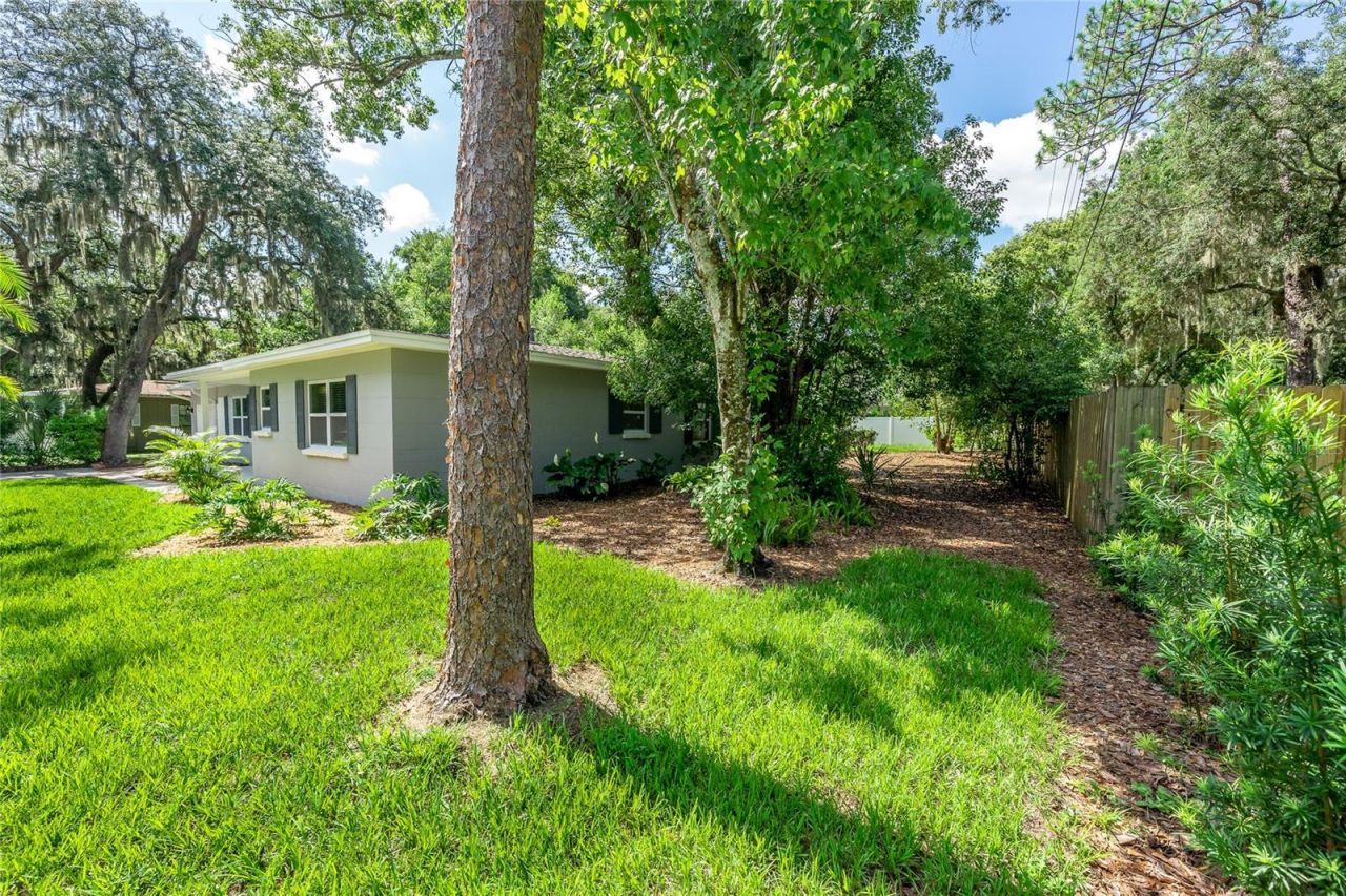 415 Mission Hills Avenue, Temple Terrace, FL 33617 Photo