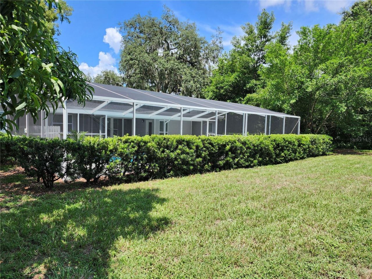 415 Mission Hills Avenue, Temple Terrace, FL 33617 Photo