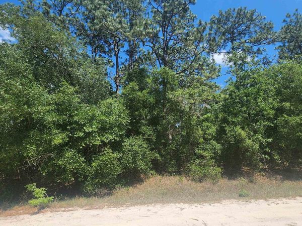 218 Summit Rd, Satsuma, FL 32189