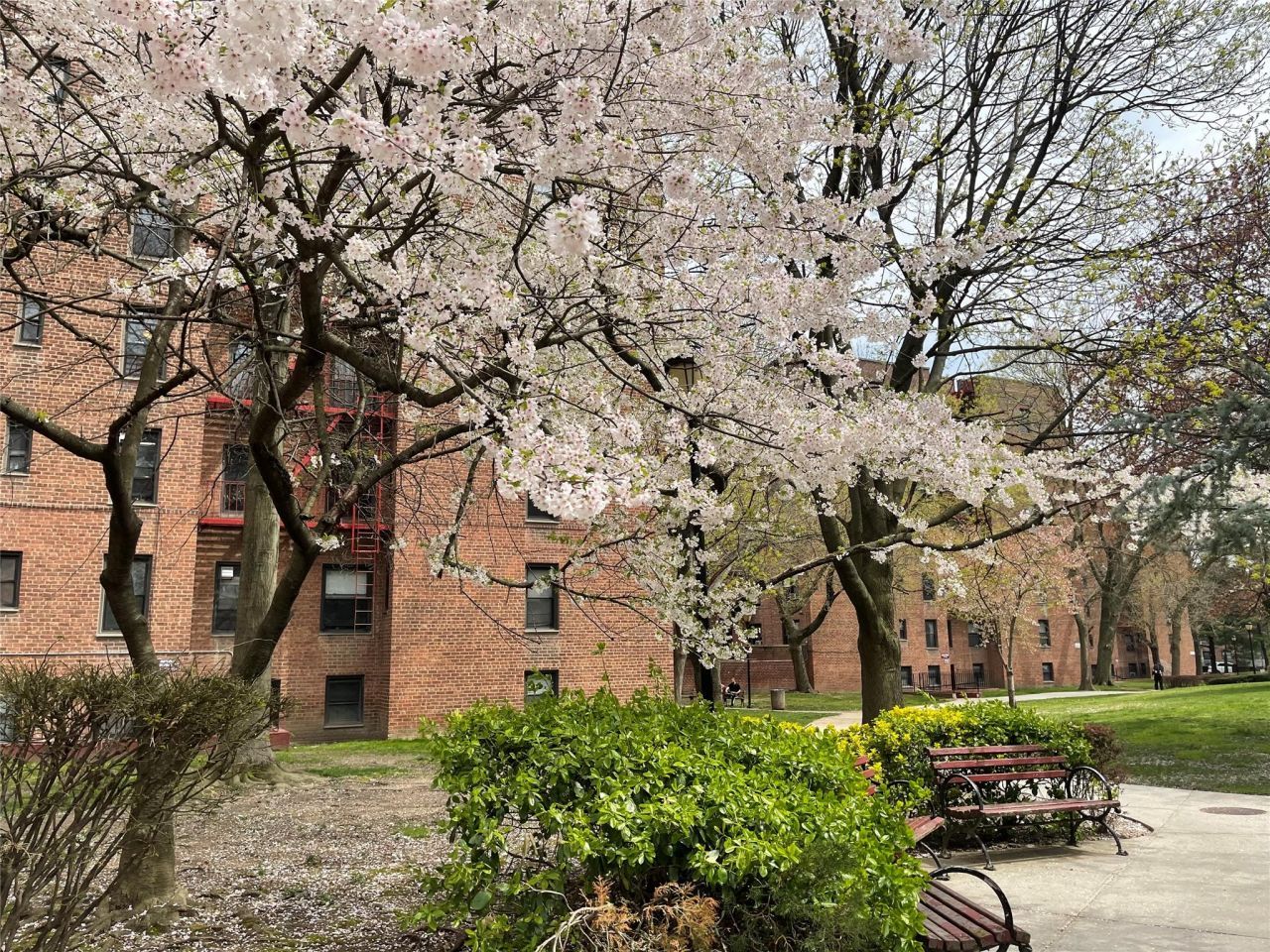 150-11 72 Road, Unit 6A, Flushing, NY 11367 Main Photo