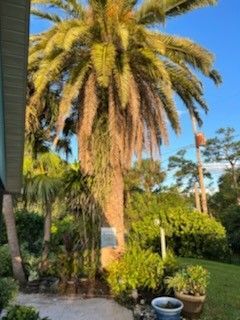 422 Avocado Avenue, Sebastian, FL 32958 Photo