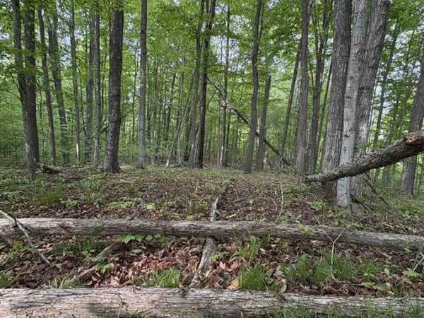 TBD Erie Street, Unit Parcel D, East Jordan, MI 49727