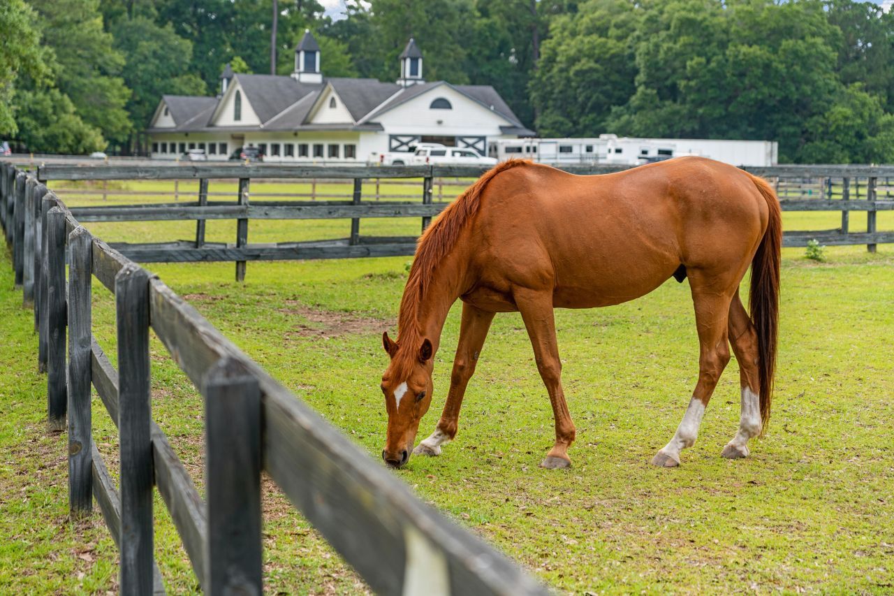 5195 Forest Oaks Drive Photo 30