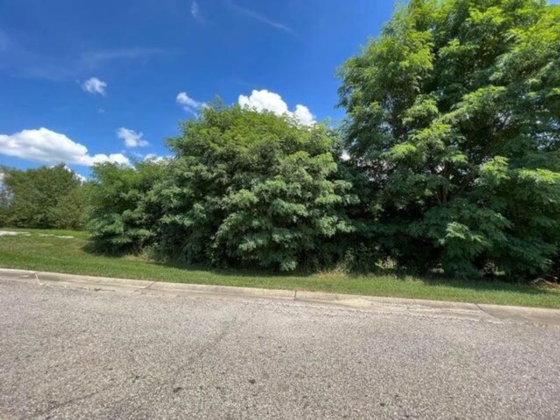 0 Spears Lane, Crittenden, KY 41030 Photo 16