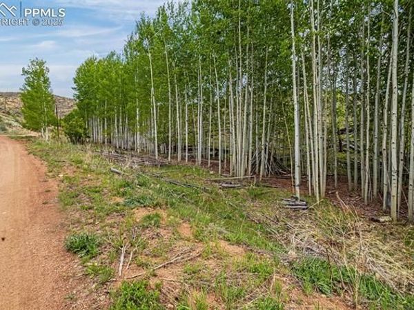 L1 B4 Columbine Circle, Woodland Park, CO 80863