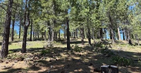 13872 Alder Creek Road, Truckee, CA 96161 Photo