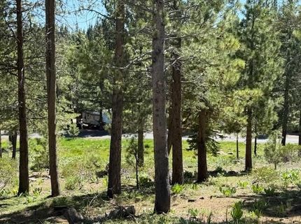 13872 Alder Creek Road, Truckee, CA 96161 Photo
