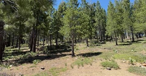 13872 Alder Creek Road, Truckee, CA 96161 Photo