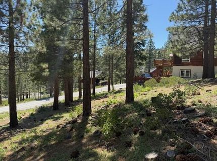 13872 Alder Creek Road, Truckee, CA 96161 Photo