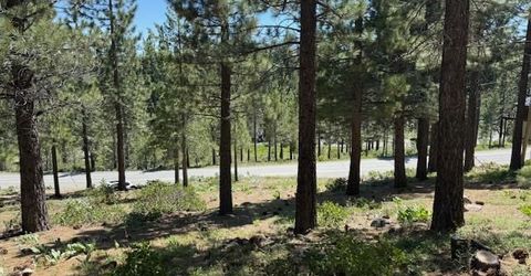 13872 Alder Creek Road, Truckee, CA 96161 Photo