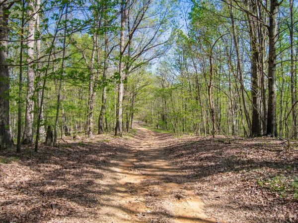 1555 Dog Hollow Road, Lynnville, TN 38472