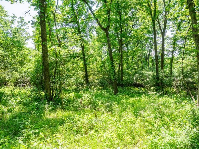 5899 Jordan Lane, Columbia Twp, OH 45227 Photo 10