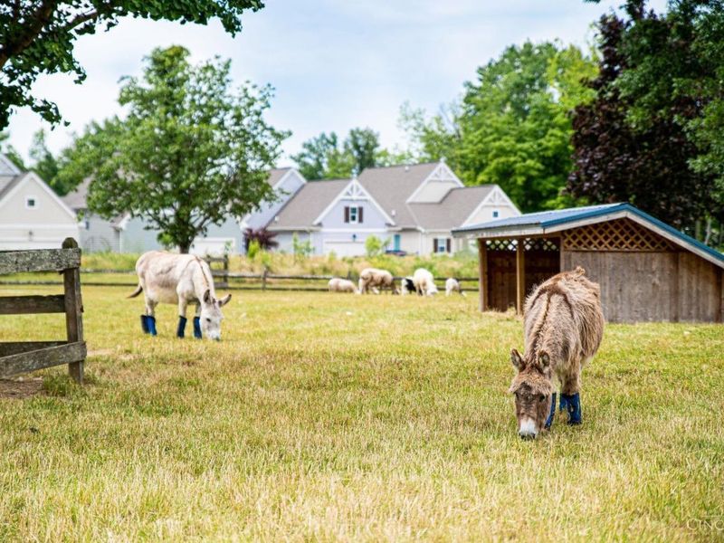 905 Garden View Circle, Morrow, OH 45152 Photo 61