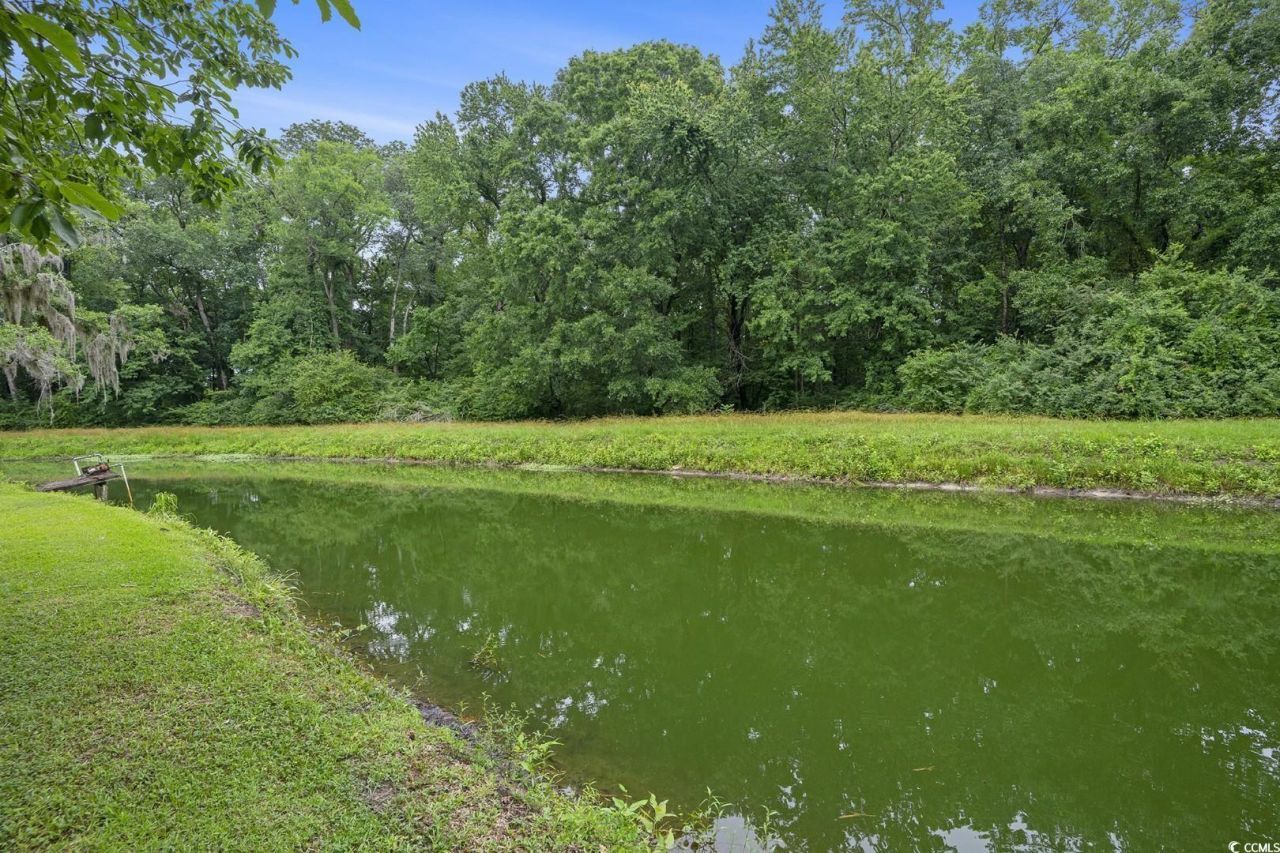 1731 Lee Ln. Photo 11