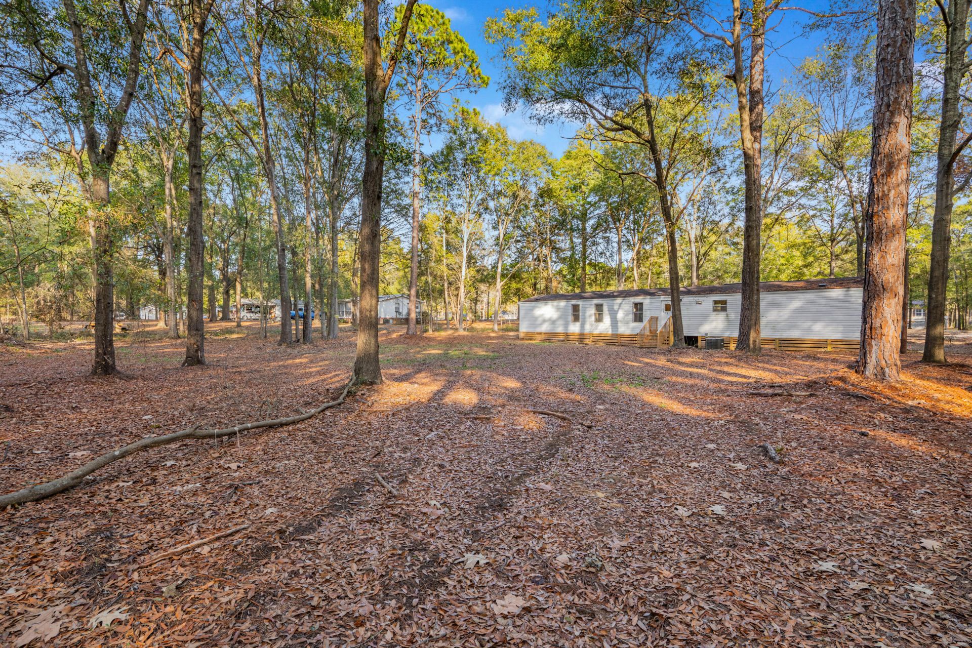 1217 Birch Drive Photo 10