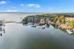 1217 Birch Drive photo 4