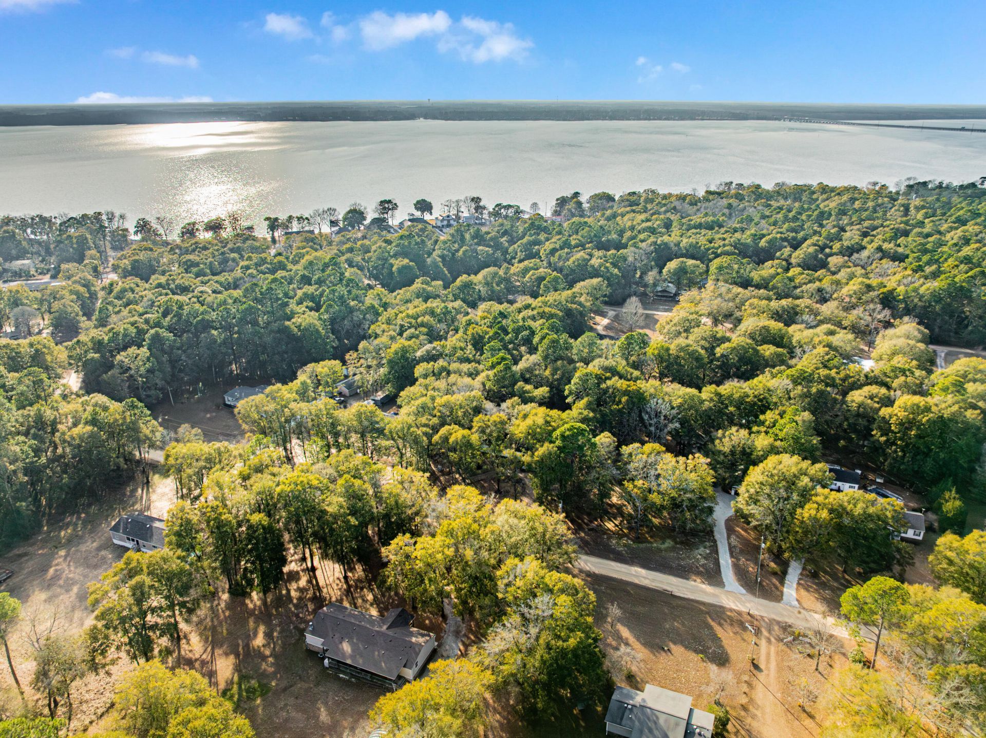 1217 Birch Drive Photo 4